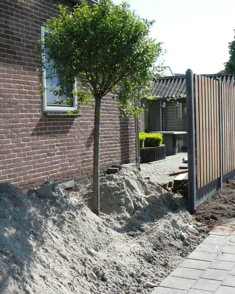 WhatsApp Image 2025-01-13 at 20.02.26 (3) Hovenierscategorie3